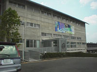 ��F�N�̉�